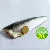 【優鮮配】厚片超大油質豐厚挪威薄鹽鯖魚20片(210g/片)