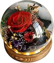 Valentine's Day Send her Eternity Rose Bouquet, Glass Dome Bouquet, Suitable for Women Gifts for mom, Grandma, Friend, Wife, Girlfriend Birthday Gift (1, Roses. Red.)