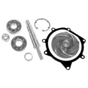 3641379M91 Repair Kit w/ Pump Fits Massey Ferguson Tractors 2640 399 747771M91