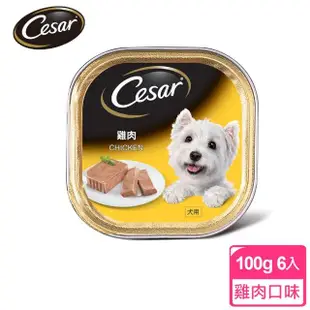 【Cesar西莎】精緻/風味餐盒 100g*24入 寵物/狗罐頭/狗食(任選)