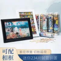 在飛比找蝦皮購物優惠-【新品現貨 地獄難度拼圖】234片迷你試管拼圖 地獄級高難度