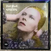 在飛比找Yahoo!奇摩拍賣優惠-現貨 David Bowie Hunky Dory 大衛鮑伊