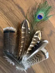 8pcs Natural 12-26cm Mixed Pheasant Peacock Feathers Home Decor DIY Art Craft