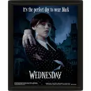 Wednesday 3D Framed Poster (Black/White) - TA10854