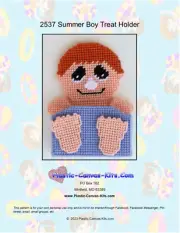 Summer Boy Treat Holder- Plastic Canvas Pattern or Kit