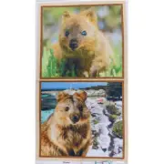 Patchwork Quilting Sewing Australian Quokkas 65x110cm Fabric Panel