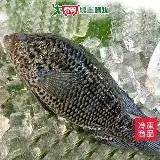 在飛比找遠傳friDay購物優惠-台灣珍珠石斑300~400G/尾