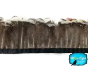 Pheasant Feathers 1 Yard White Lady Amherst Pheasant Feather Trim