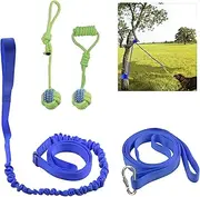 Outdoor Hanging Bungee Dog Toy - Interactive Dog Tug Toy with 2 Chew Rope Toys for Small to Large Dogs - Best for Tug of War, Bite Training, Pull Exercise, Solo Play