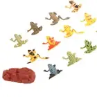 12x PVC Frogs Model Amphibian Teaching Toy Ornament Set W/ Fake Grass And Stone