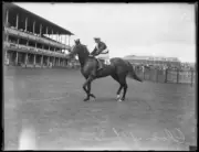 Racehorse Closing Time with a jockey, NSW, 28 December 1932 Old Photo