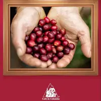 在飛比找蝦皮購物優惠-< 希望種子咖啡> 哥倫比亞低因咖啡-天然蔗糖處理法(半磅,