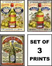 Vintage Advertising Lemon Lime Syrup Cordial ART SET OF 8x10 Prints