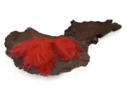 30-50 Pieces - Red Mini Ostrich Confetti Feathers Wedding Costume Jewelry Craft