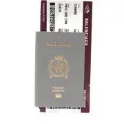 [Balenciaga] Balenciaga 1 Ticket Leather Passport Wallet ONE SIZE GREY/BLACK
