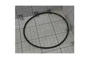 Davey Spa Pool / Bath Pump Body Oring - XS Models