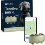 XL GPS Dog Tracker (50 Lbs+) | Real-Time Pet Location Tracker | Health & Wellnes