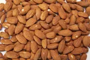 Certified Organic Garden Raw Unpasteurized Sprouted California Almonds - 16 oz