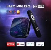 在飛比找Yahoo!奇摩拍賣優惠-【艾爾巴數位】HAKOmini PRO 智慧電視盒 4G/3