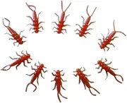 Natural Soft Plastic stonefly 20 Pack