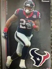 Fathead Tradeables Arian Foster #9 - Houston Texans