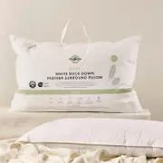 30/70 Duck Down Feather Queen Pillow [GREB3070Q23]