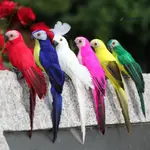 [花花的世界] 金剛鸚鵡 櫥窗園藝裝飾小鳥泡沫羽毛大鸚鵡家居擺件