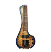 FingyBass 18" 5 string Burl Wood Top Bass Travel