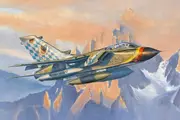 Hobbyboss 1:48 Tornado Ids