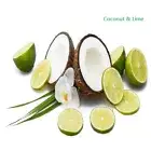 PREMIUM HIGHLY SCENTED REED DIFFUSER REFILLS - Coconut & Lime Fragrance