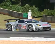 New! 8x10 IMSA ALMS 2008 Petit Le Mans No. 40 Robertson Racing Ford GT-R