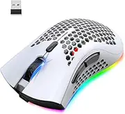 Wireless Lightweight Gaming Mouse Honeycomb with 7 Button Multi RGB Backlit Perforated Ergonomic Shell Optical Sensor Adjustable DPI Rechargeable 800mAh Battery USB Receiver for PC Mac Gamer(White)