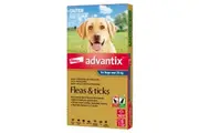 Advantix Dog Extra Large Grey