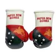 PAPUA NEW GUINEA / PNG Flag Mini Gloves Ornament Car hanging gloves