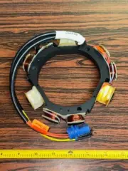 NEW Stator Assembly 4 / 12 amp OEM BRP OMC Johnson Evinrude 763763 Outboard