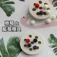 在飛比找蝦皮購物優惠-♡立體矽膠模♡現貨lwr多款水果樹莓藍莓覆盆子堅果威化餅乾造