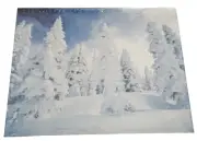 Hallmark Springbok 500 Piece Jigsaw Puzzle Snowy Tree Landscape 015012618013 New