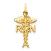 10k yellow gold solid registered nurse charm