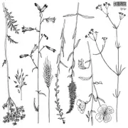 Sprigs Stamp 12x12" - IOD Iron Orchid Designs