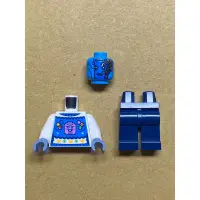 在飛比找蝦皮購物優惠-LEGO 樂高 人偶 涅布拉 漫威 星際異攻隊 76231