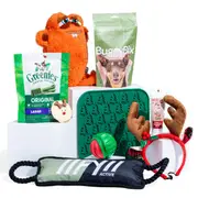 The Curious Box Secret Santa Big Dog Gift Box