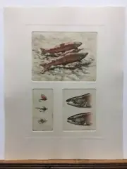 Mike Stidham Sockeye Salmon Fly Fishing Flies Hand Colored Etching Art Print