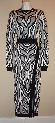GORGEOUS, CURVE KISSING, NWT, RONNY KOBO 'TIGER SKETCH' TOP & MIDI SKIRT SET
