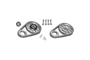 Rollmaster Double Row Timing Chain Set Nitrided w/ Torrington Bearing LS1 LS6 V8
