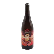 Dunham Saison Rustique Beersel 750ml Bottle