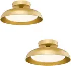 Gold Ceiling Light 2PK, 12 Inch LED Semi Flush Mount Ceiling Light Fixture, 12W/