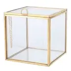 Gold Edge Geometric Glass Plant Planter Succulent Plants Container Home