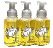3 BATH & BODY WORKS THE PERFECT AUTUMN GENTLE FOAMING HAND SOAP FRESH CRANBERRY