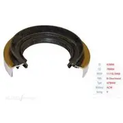 Bearing Wholesalers Pinion Seal - 461902P