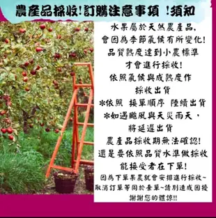 【緁迪水果JDFruit】台灣小農-嘉義水上 頂級冠軍溫室牛奶玉女小番茄 (10盒原封箱/單盒600g+-10%) ， 入口即化爆漿玉女小番茄 顆顆紅艷嬌嫩，皮薄甜美好多汁 帶有天然絨毛，新鮮健康有保證